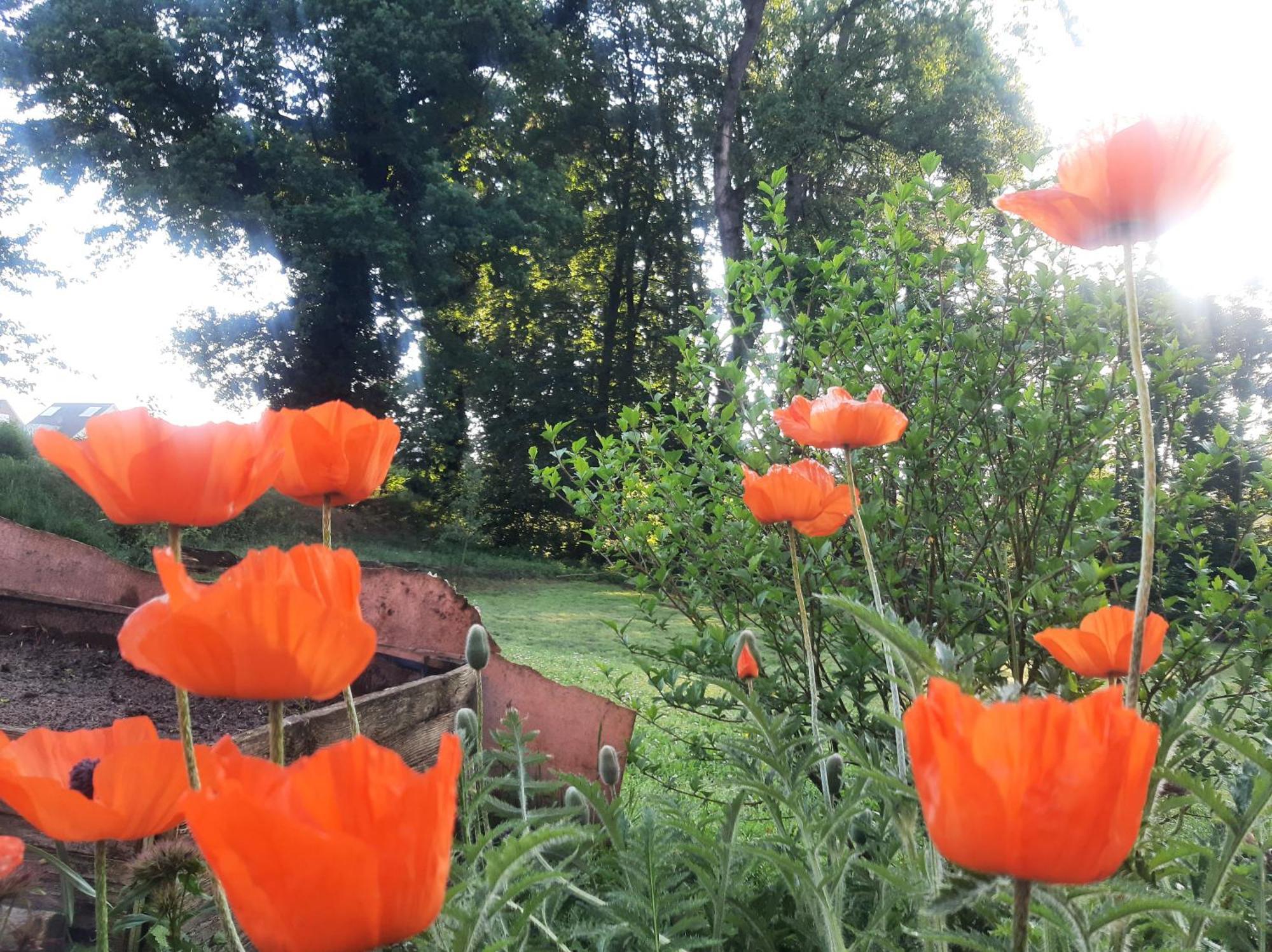 Ferienwohnung Auf Dem Land Ladbergen Kültér fotó