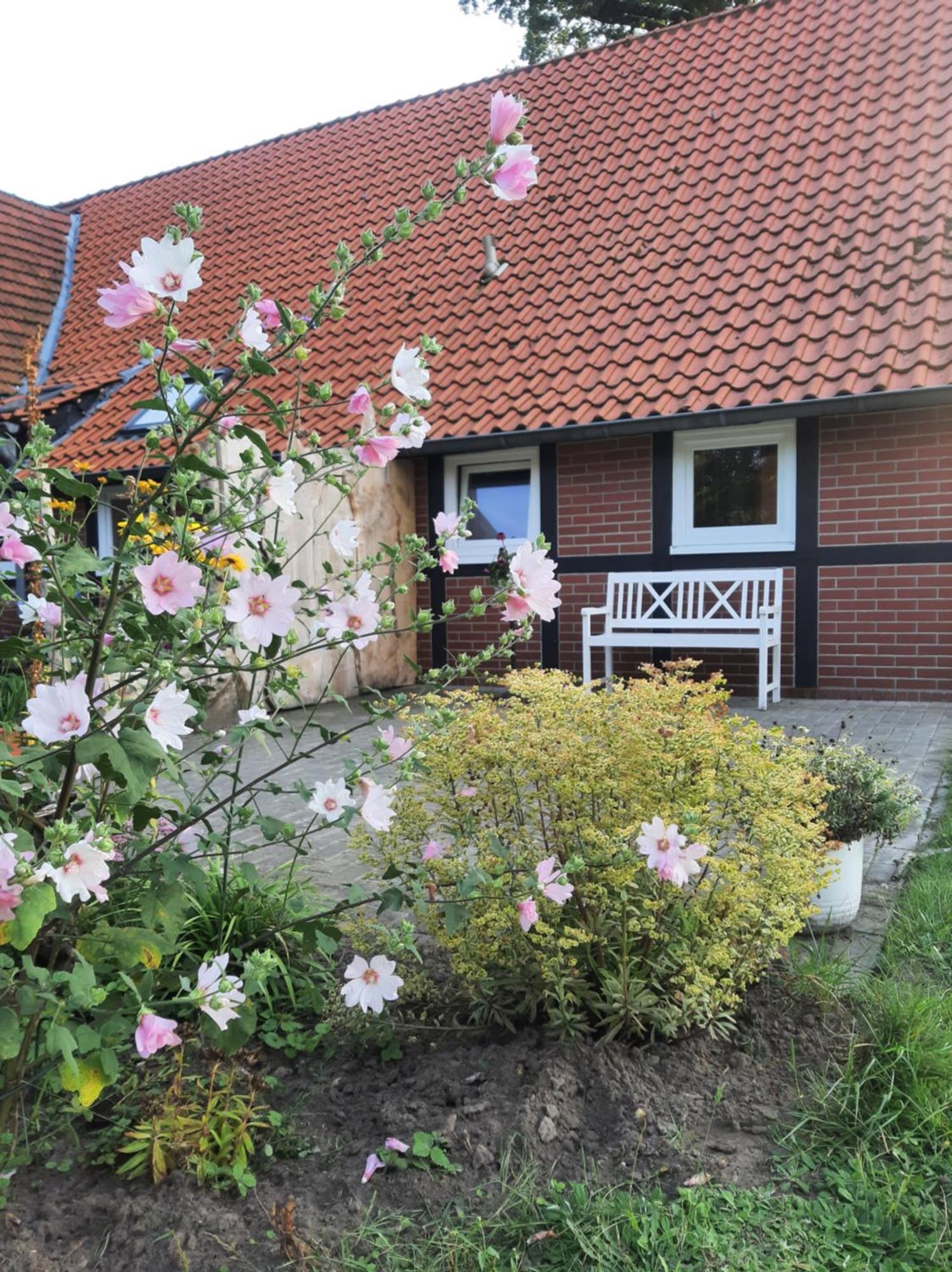 Ferienwohnung Auf Dem Land Ladbergen Kültér fotó